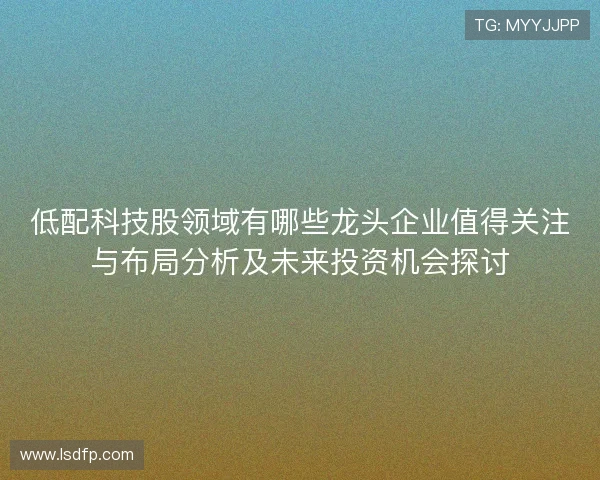 低配科技股领域有哪些龙头企业值得关注与布局分析及未来投资机会探讨